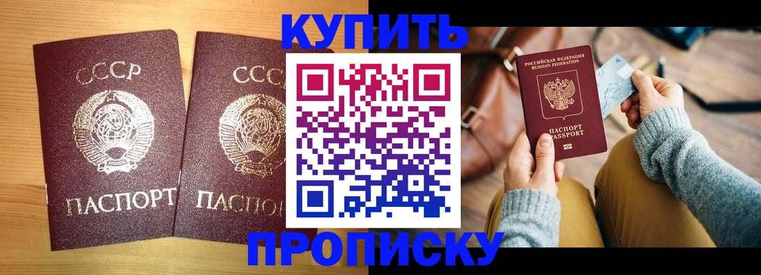 прописка 2025 в Курске